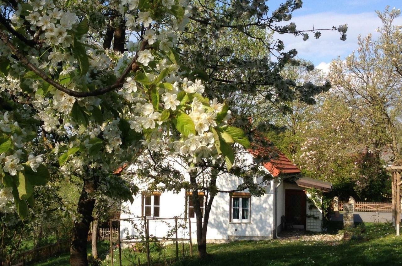 Ferienhaus Koller Güssing Esterno foto